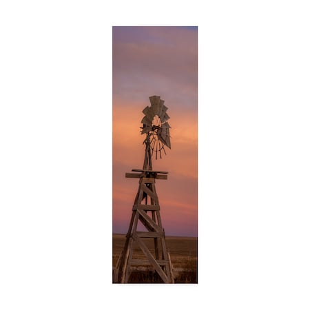 Dan Ballard 'Windmill 8' Canvas Art,10x32